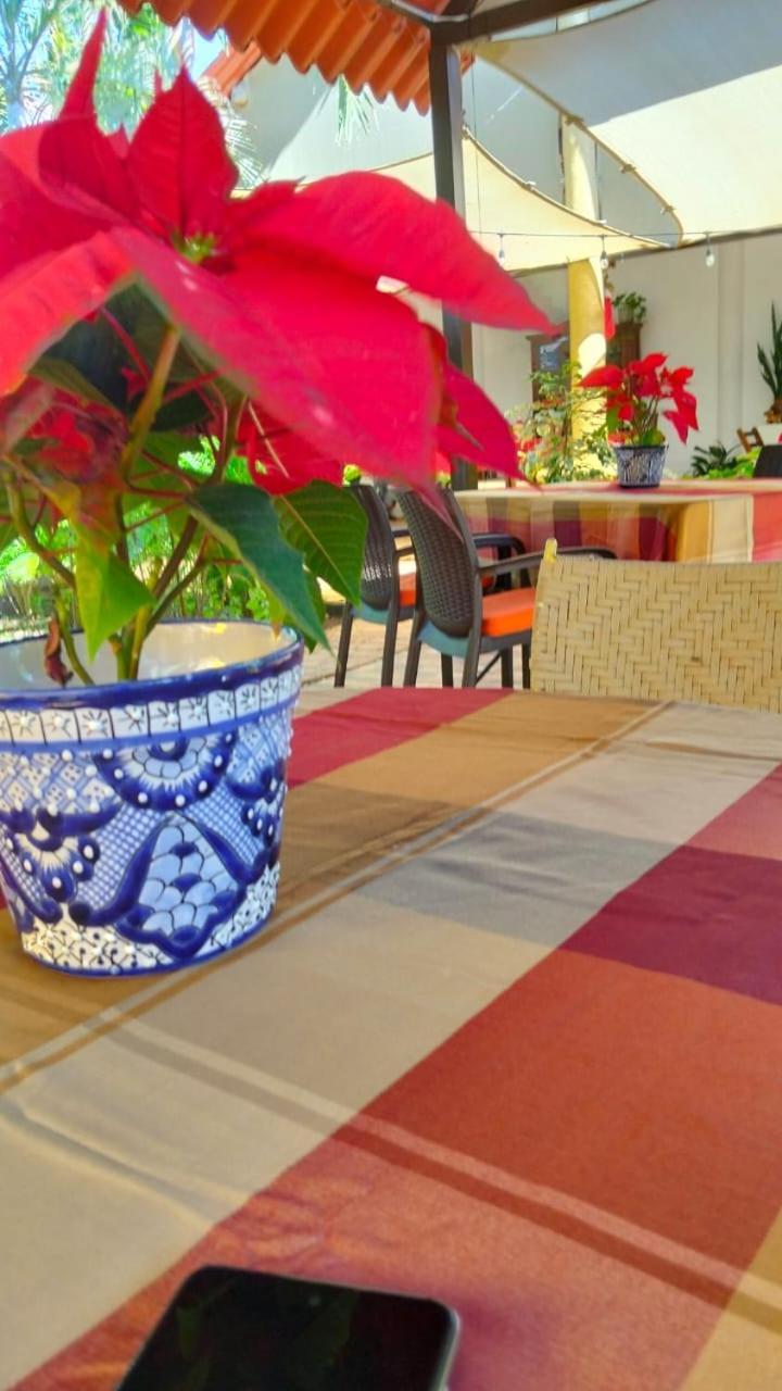 Quinta Rosita Bed & Breakfast Ticul Exterior photo
