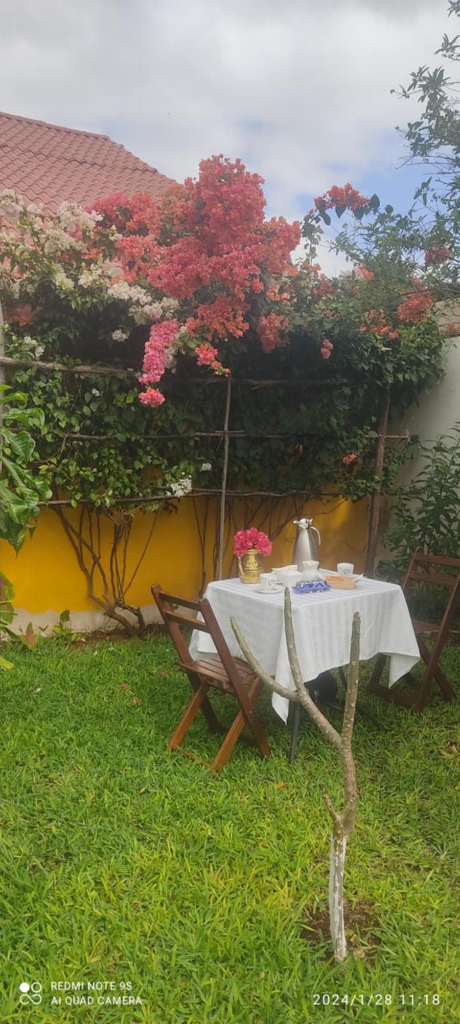 Quinta Rosita Bed & Breakfast Ticul Exterior photo