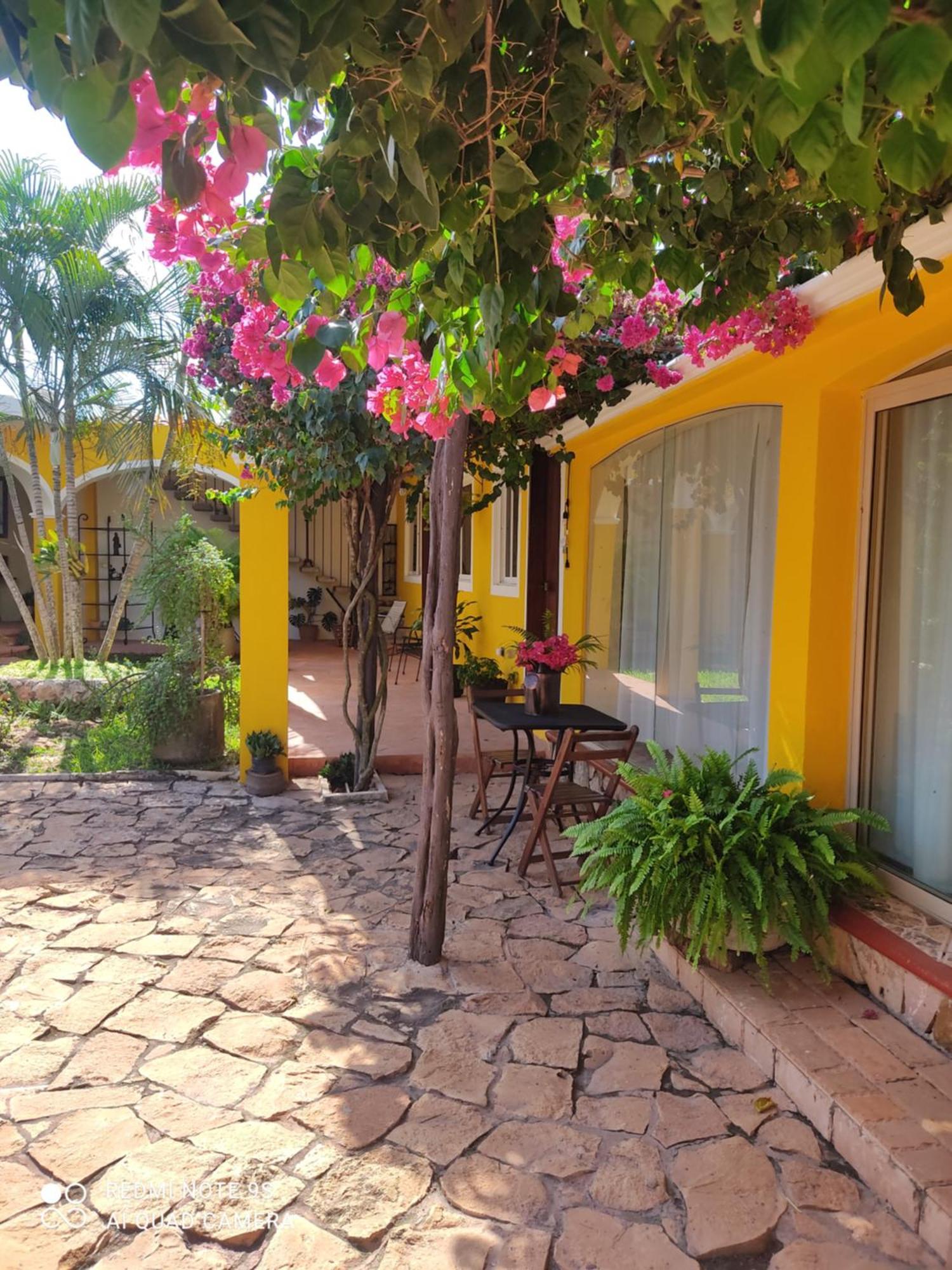 Quinta Rosita Bed & Breakfast Ticul Exterior photo