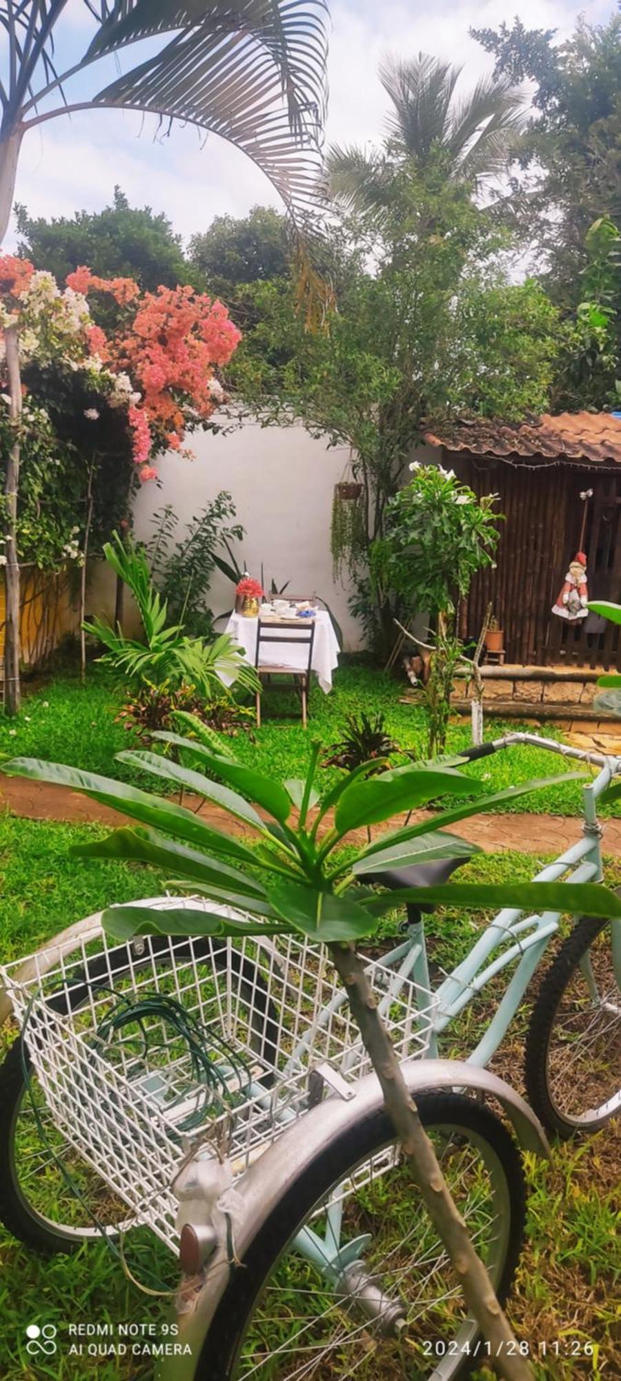 Quinta Rosita Bed & Breakfast Ticul Exterior photo