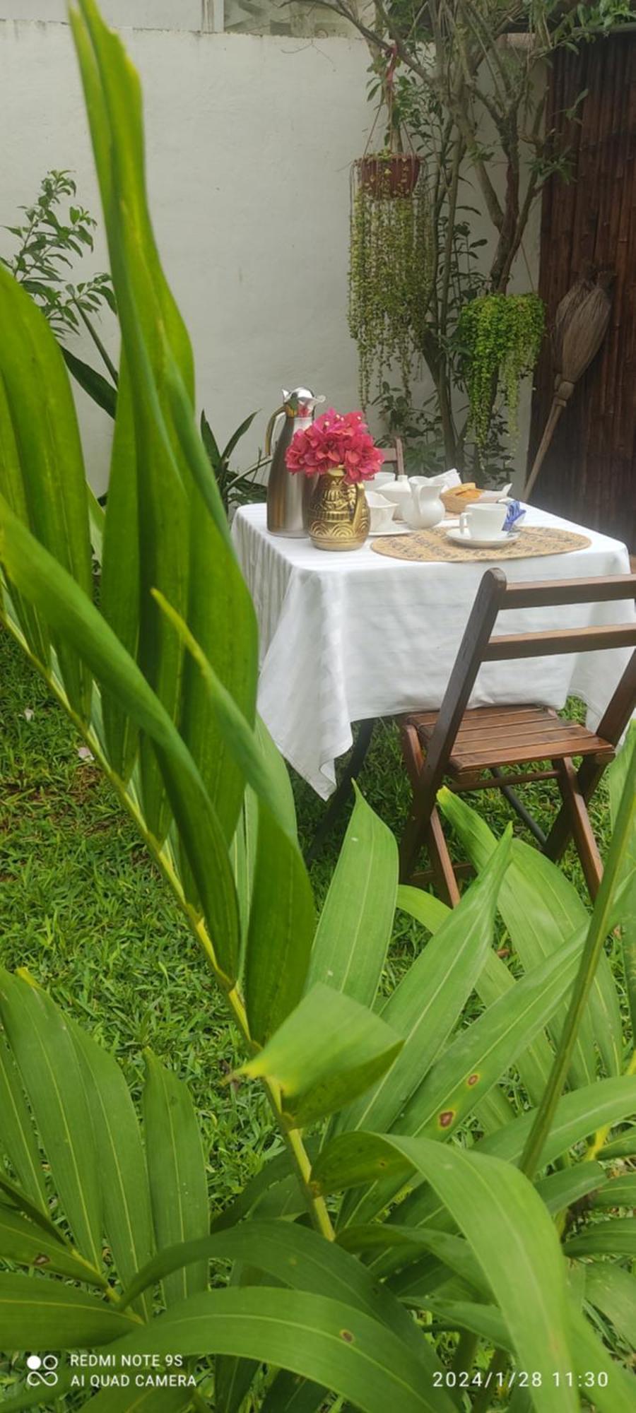 Quinta Rosita Bed & Breakfast Ticul Exterior photo