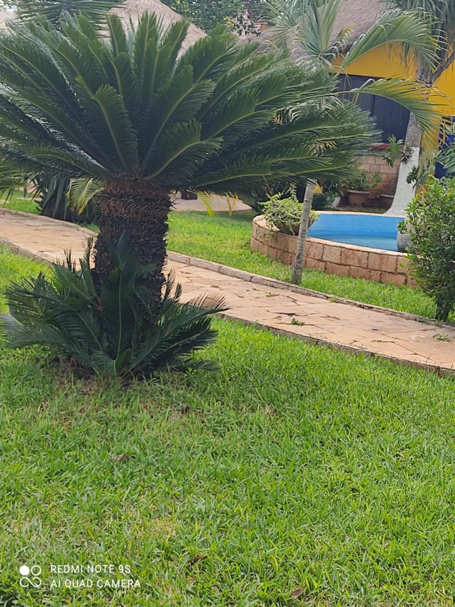 Quinta Rosita Bed & Breakfast Ticul Exterior photo