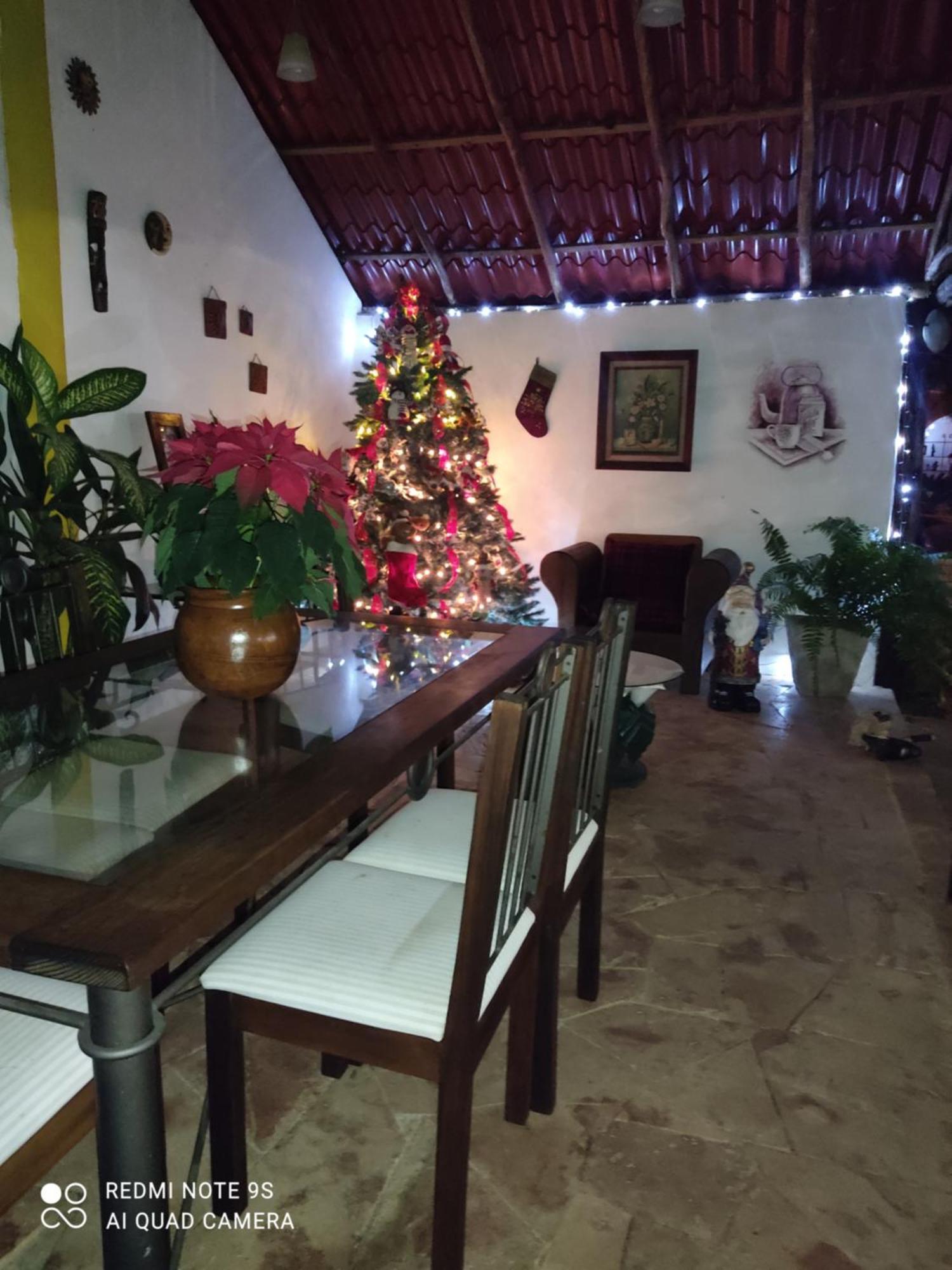 Quinta Rosita Bed & Breakfast Ticul Exterior photo