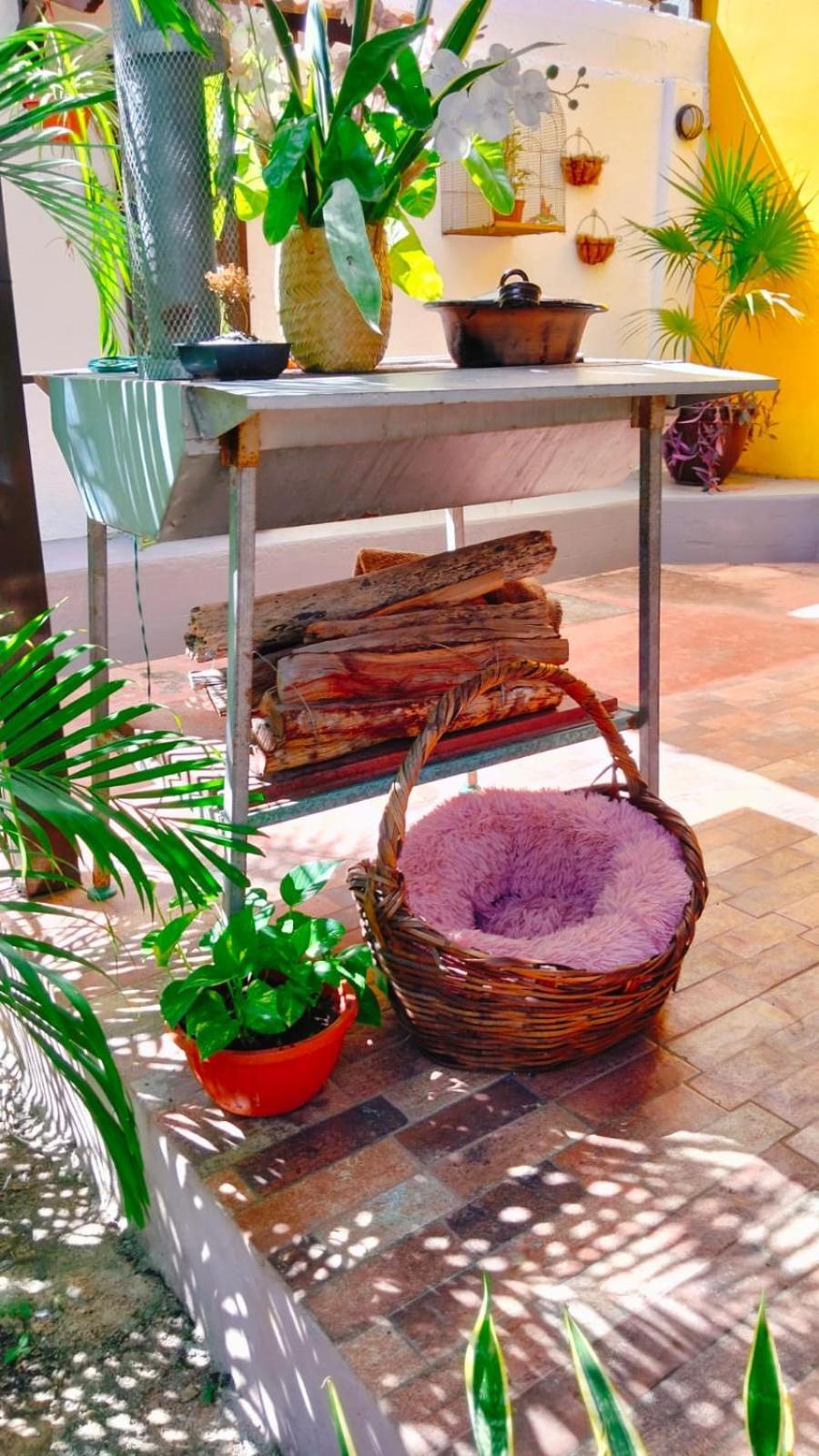 Quinta Rosita Bed & Breakfast Ticul Exterior photo